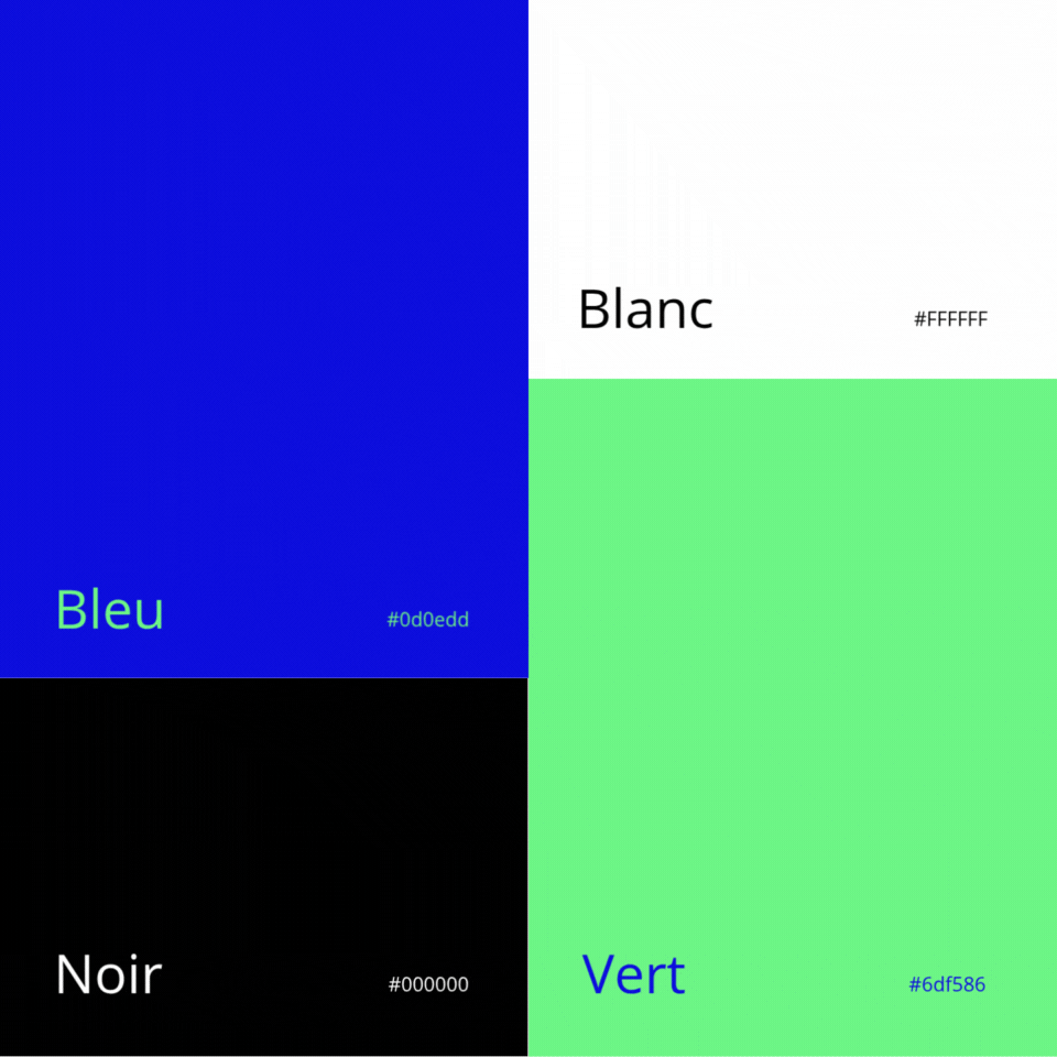 Palette de couleurs et charte graphique créées dans le cadre d’un projet de branding complet et d’identité visuelle professionnelle par l’agence DBW
